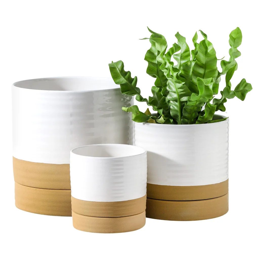 HASENSE Farmhouse Plant Pot (Set of 3), 4.6 in, White