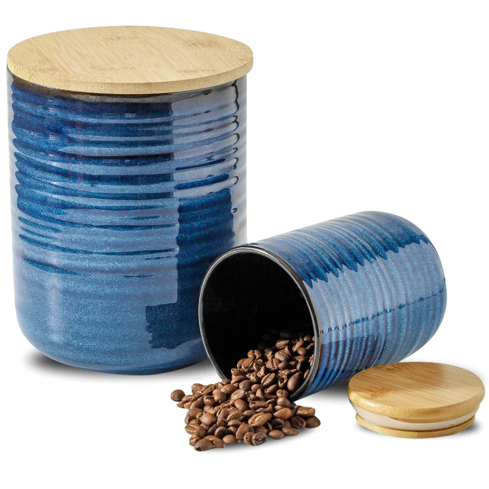 HASENSE Storage Jar (Set of 2), 80 oz, Blue