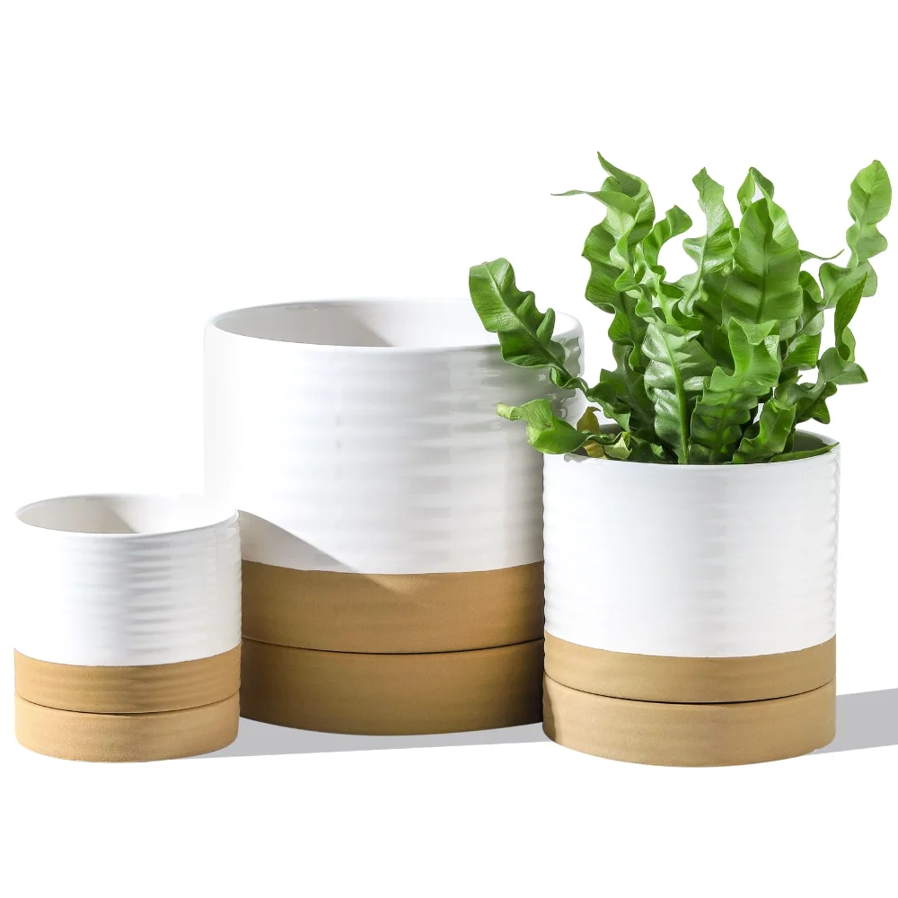 HASENSE Two-Tone Plant Pot (Set of 3), 4.6 in, White