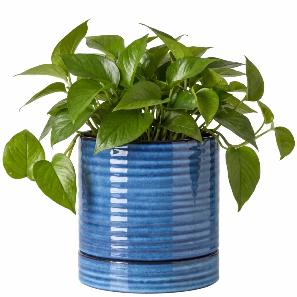 HASENSE Reactive Glaze Plant Pot, 6 in, Blue
