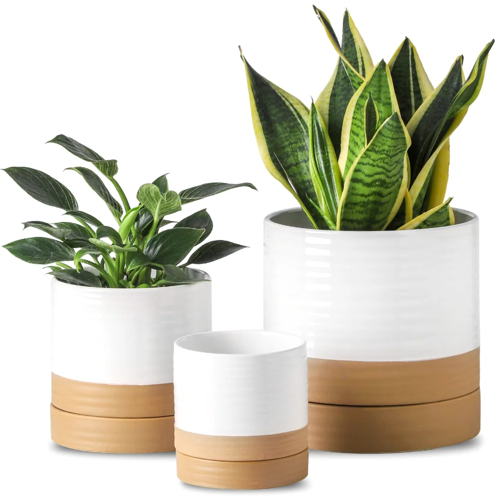 HASENSE Plant Pot (Set of 3), 4.6 in, White