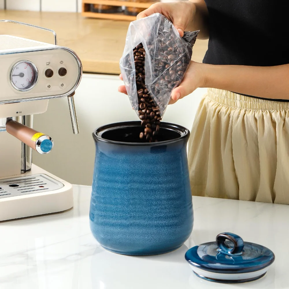 HASENSE Storage Jar & Bowl Bundle (Set of 2), 88 oz, Blue