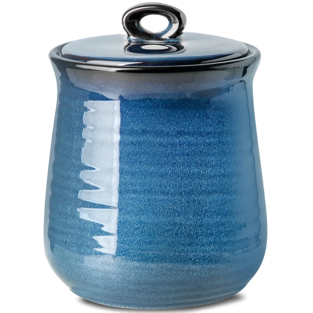 HASENSE Kitchen Canister, 88 oz, Navy